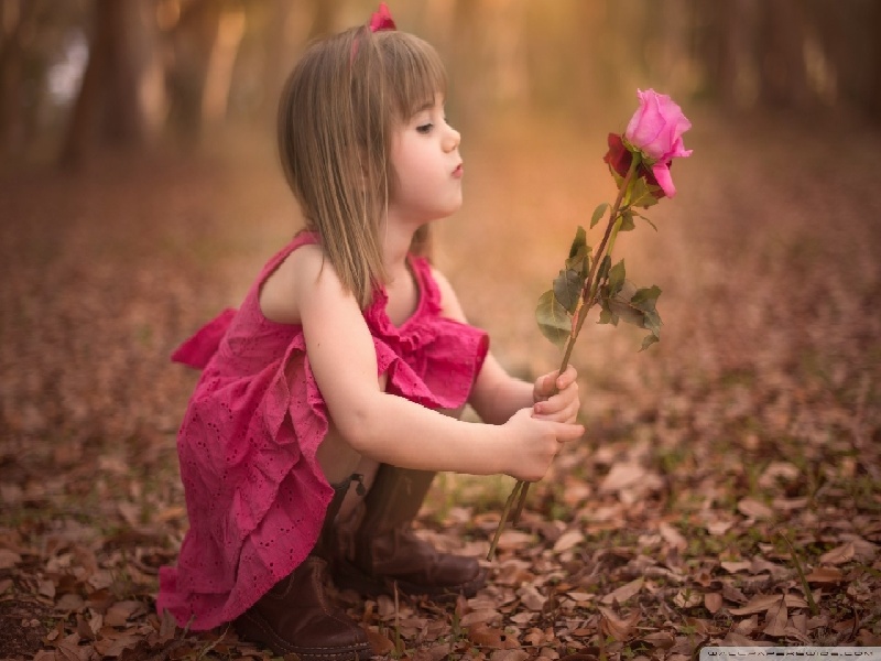 美国知名试管医生（女性试管最佳方案）