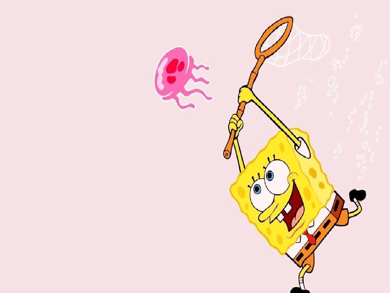 协和试管移植过程（试管期间老放屁）